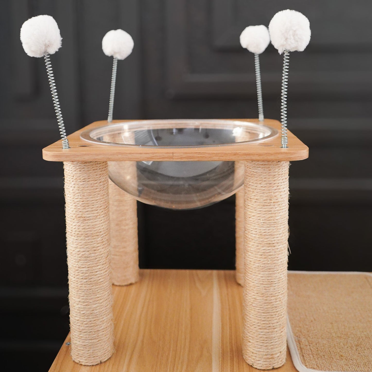 Modern Climb & Lounge Cat Condo