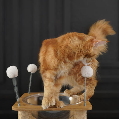 Modern Climb & Lounge Cat Condo