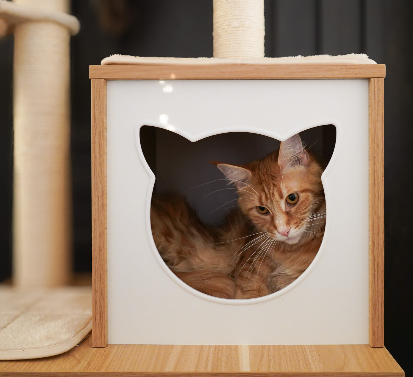 Tall Haven Cat Tree & Condo