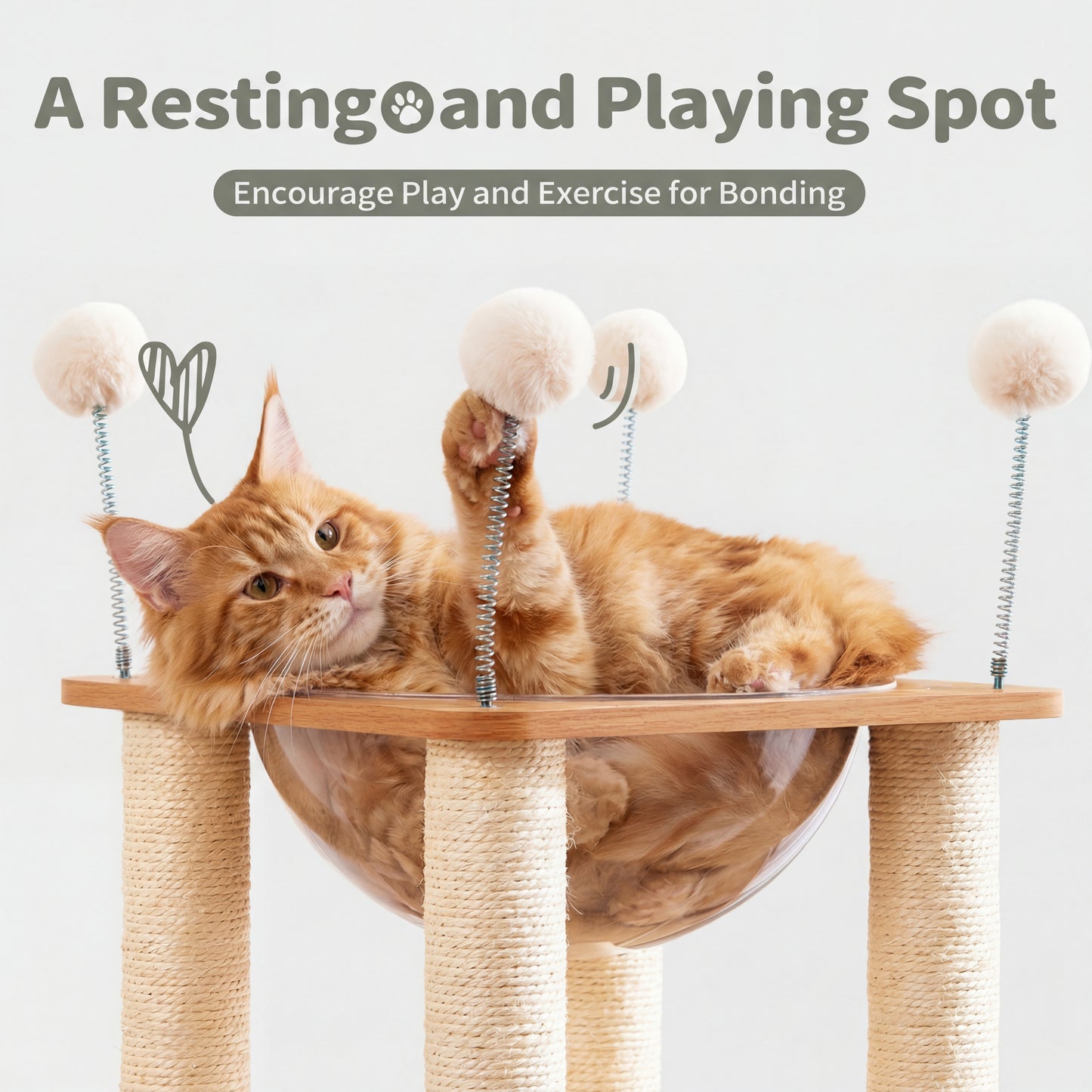 Modern Climb & Lounge Cat Condo