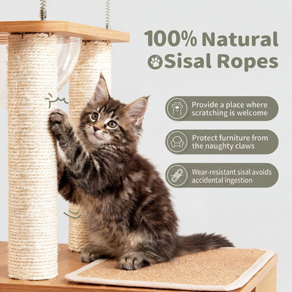 Modern Climb & Lounge Cat Condo