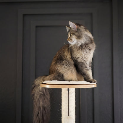 Tall Haven Cat Tree & Condo